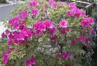 西方山極楽寺(岐阜県)