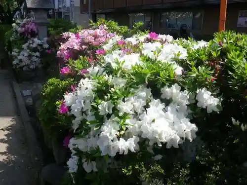鶴岡八幡宮の自然