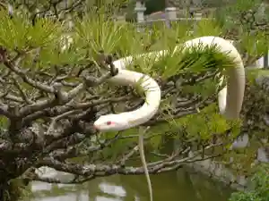 金蛇水神社(宮城県)(2025年02月17日(月) 11時17分32秒投稿)