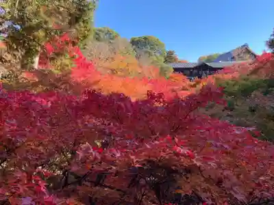 霊雲院(京都府)