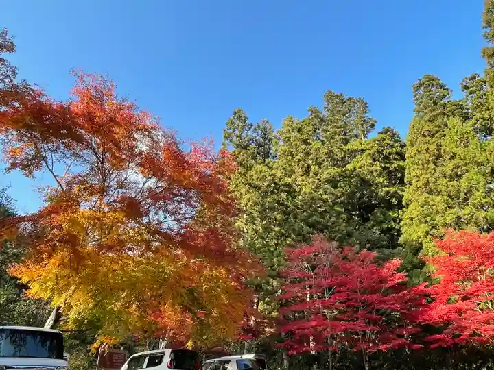 花園神社の自然