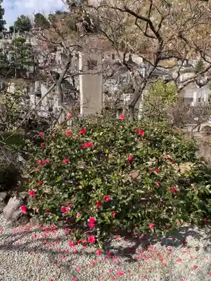 妙法寺(神奈川県)