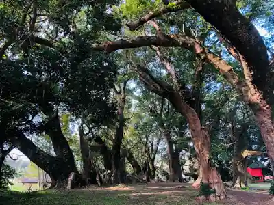 大汝牟遅神社の自然