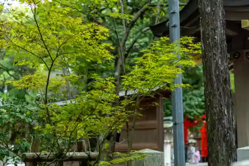 針名神社(愛知県)