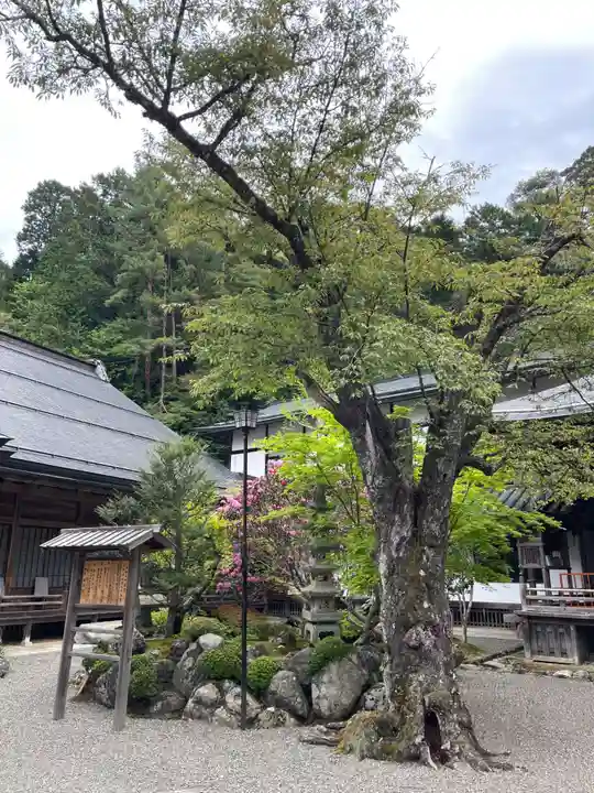 西禅院(和歌山県)