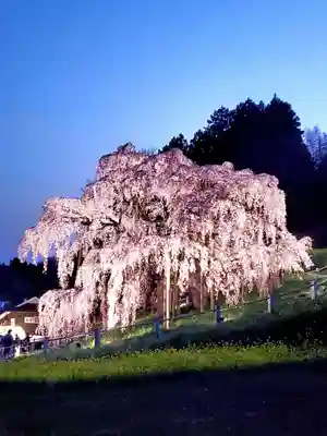 瀧桜神明宮(福島県)