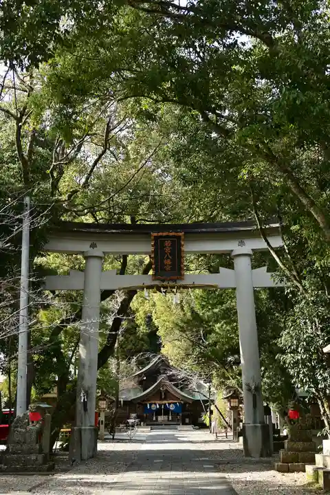 若宮八幡宮(高知県)