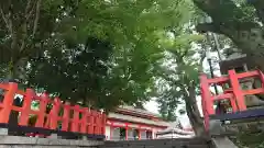 八坂神社(祇園さん)の景色