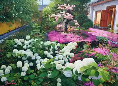 寿量山　速成寺(奈良県)