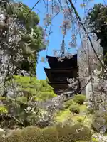 国宝 大法寺(長野県)