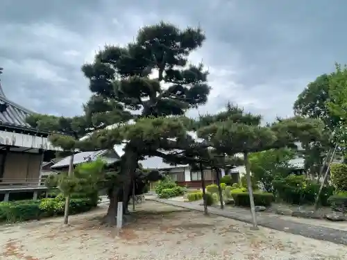 西蓮寺の{uncategorized: "未分類", other: "その他", undefined: "問題あり", building: "その他建物", grave: "お墓", sacred_gate: "鳥居", guardian: "狛犬", statue: "像", buddha: "仏像", history: "歴史", nature: "自然", garden: "庭園", animal: "動物", pagoda: "塔", temizu: "手水舎", mountain_gate: "山門・神門", sanctuary: "本殿・本堂", subordinate: "末社・摂社", art: "芸術", scenery: "景色", jizo: "地蔵", ema: "絵馬", goshuin: "御朱印", omikuji: "おみくじ", items: "授与品その他", amulet: "お守り", goshuincho: "御朱印帳", eats: "食事", festival: "お祭り", votive_dance: "神楽", shichigosan: "七五三参", wedding: "結婚式", experience: "体験その他", initially: "初詣", around: "周辺", anti_infection: "感染症対策"}