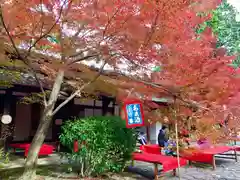 真正極楽寺（真如堂）(京都府)