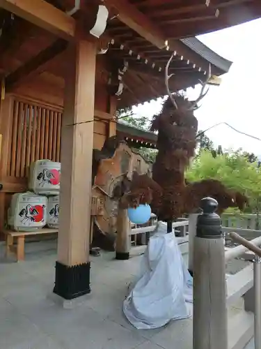 丹生川上神社（上社）の狛犬