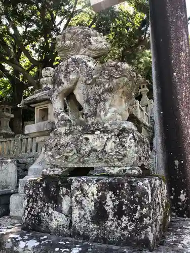 金刀比羅神社の狛犬