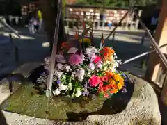 宝満宮竈門神社の手水