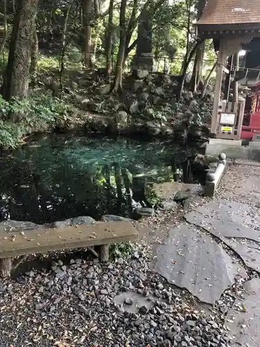 泉神社の庭園