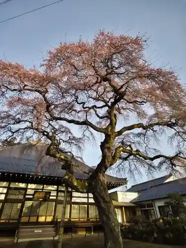 相応寺(福島県)
