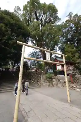 鹿児島神宮(鹿児島県)
