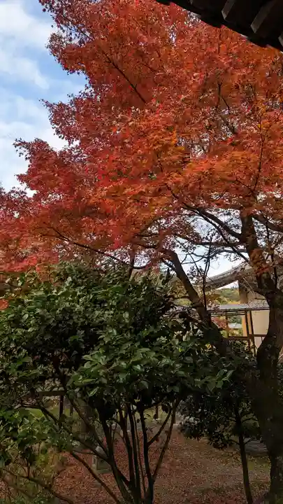 法金剛院(京都府)