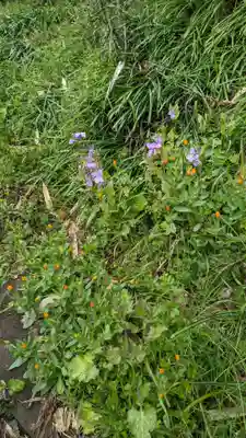 荏柄八幡社(東京都)