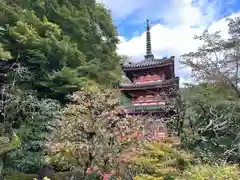 三室戸寺(京都府)