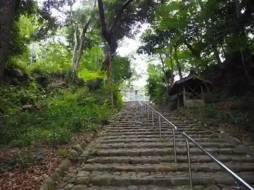 龍尾神社の自然