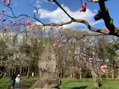 北海道神宮の庭園