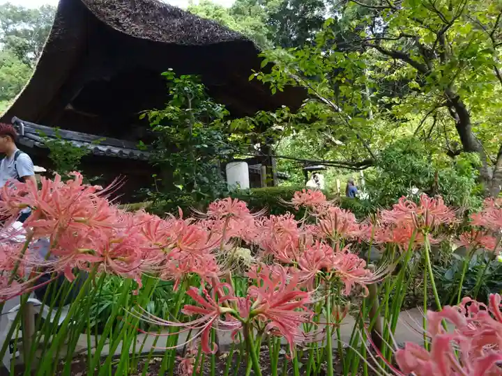 横浜 西方寺の山門・神門