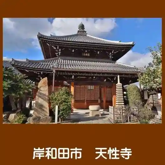 天性寺(蛸地蔵)(大阪府)
