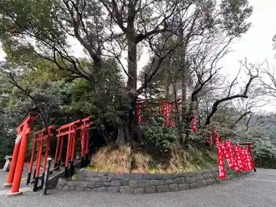 鶴岡八幡宮(神奈川県)