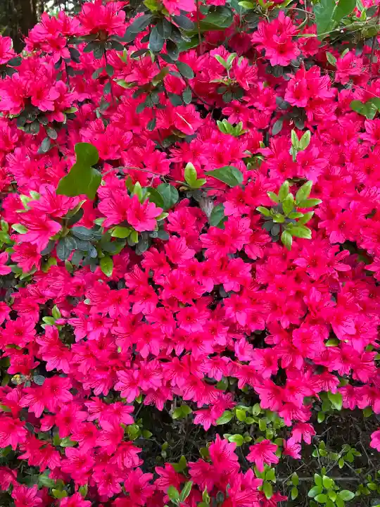 七国山薬王寺(東京都)