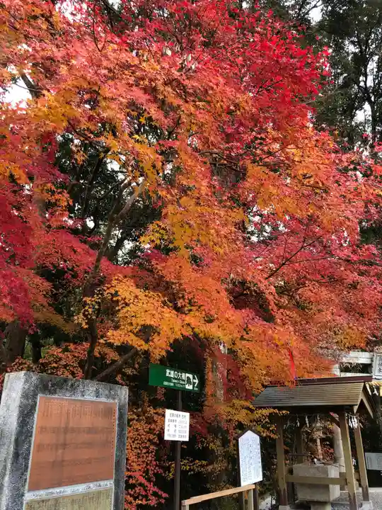 武雄神社の自然