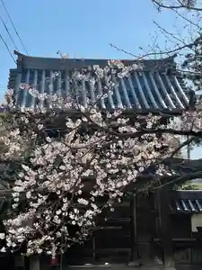 伊勢の国 四天王寺の自然(2021年03月23日(火) 11時35分05秒投稿)