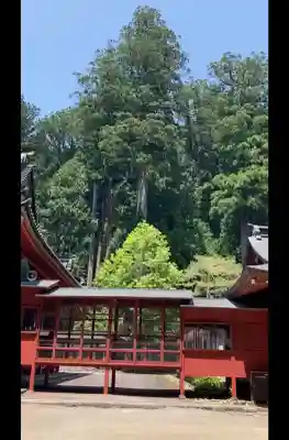 日光二荒山神社の{uncategorized: "未分類", other: "その他", undefined: "問題あり", building: "その他建物", grave: "お墓", sacred_gate: "鳥居", guardian: "狛犬", statue: "像", buddha: "仏像", history: "歴史", nature: "自然", garden: "庭園", animal: "動物", pagoda: "塔", temizu: "手水舎", mountain_gate: "山門・神門", sanctuary: "本殿・本堂", subordinate: "末社・摂社", art: "芸術", scenery: "景色", jizo: "地蔵", ema: "絵馬", goshuin: "御朱印", omikuji: "おみくじ", items: "授与品その他", amulet: "お守り", goshuincho: "御朱印帳", eats: "食事", festival: "お祭り", votive_dance: "神楽", shichigosan: "七五三参", wedding: "結婚式", experience: "体験その他", initially: "初詣", around: "周辺", anti_infection: "感染症対策"}