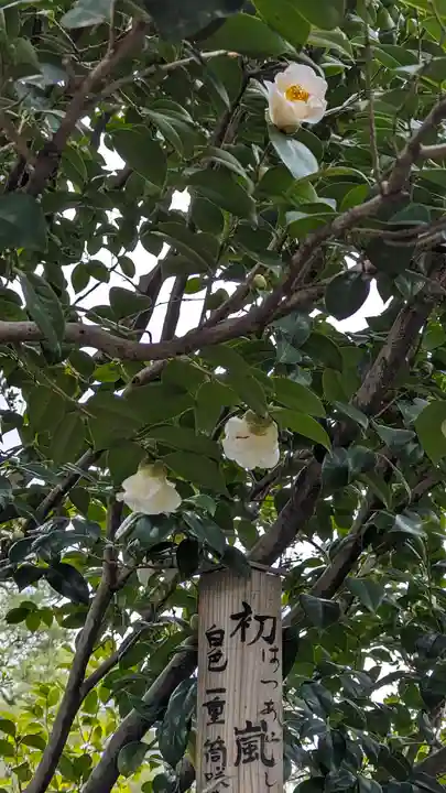 城南宮(京都府)