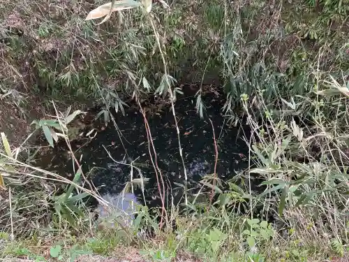 春日山神社の{uncategorized: "未分類", other: "その他", undefined: "問題あり", building: "その他建物", grave: "お墓", sacred_gate: "鳥居", guardian: "狛犬", statue: "像", buddha: "仏像", history: "歴史", nature: "自然", garden: "庭園", animal: "動物", pagoda: "塔", temizu: "手水舎", mountain_gate: "山門・神門", sanctuary: "本殿・本堂", subordinate: "末社・摂社", art: "芸術", scenery: "景色", jizo: "地蔵", ema: "絵馬", goshuin: "御朱印", omikuji: "おみくじ", items: "授与品その他", amulet: "お守り", goshuincho: "御朱印帳", eats: "食事", festival: "お祭り", votive_dance: "神楽", shichigosan: "七五三参", wedding: "結婚式", experience: "体験その他", initially: "初詣", around: "周辺", anti_infection: "感染症対策"}