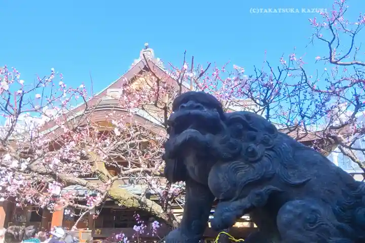 湯島天満宮(東京都)