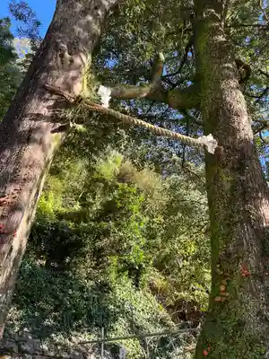 土肥神社(静岡県)