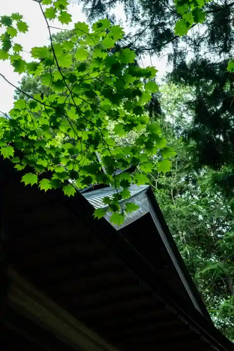 戸隠神社火之御子社(長野県)