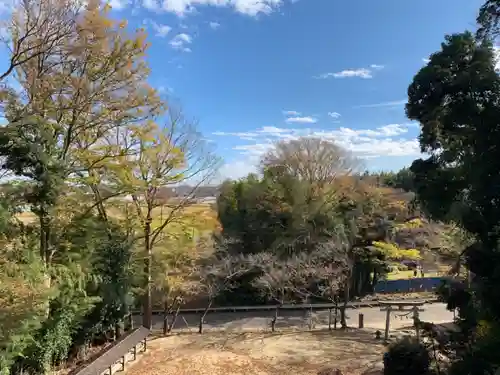 大宮神社の景色