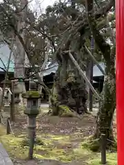 蠶養國神社の建物その他