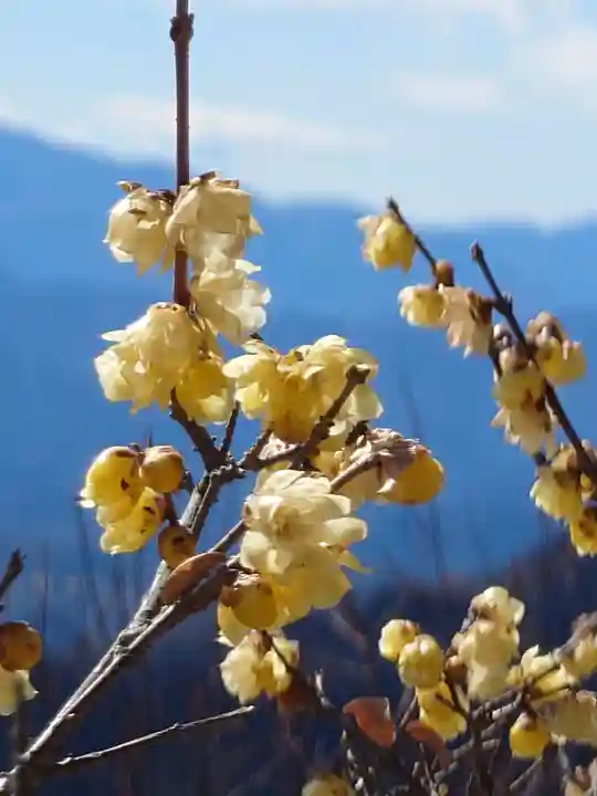宝登山神社奥宮(埼玉県)