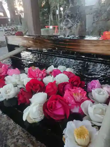 玉村八幡宮の手水舎