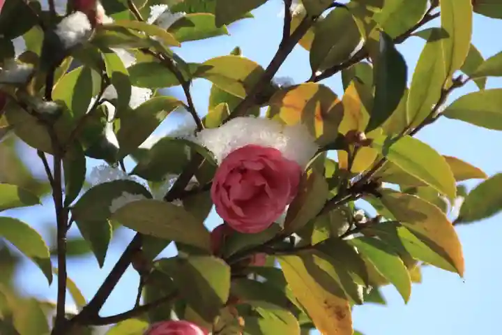 熊野福藏神社の自然