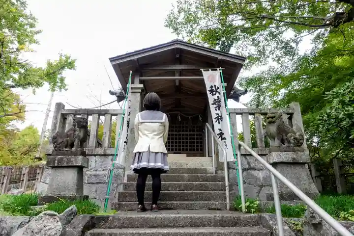 秋葉神社の本殿・本堂