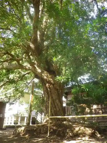 浄光明寺の庭園