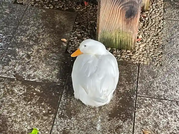 平塚八幡宮(神奈川県)