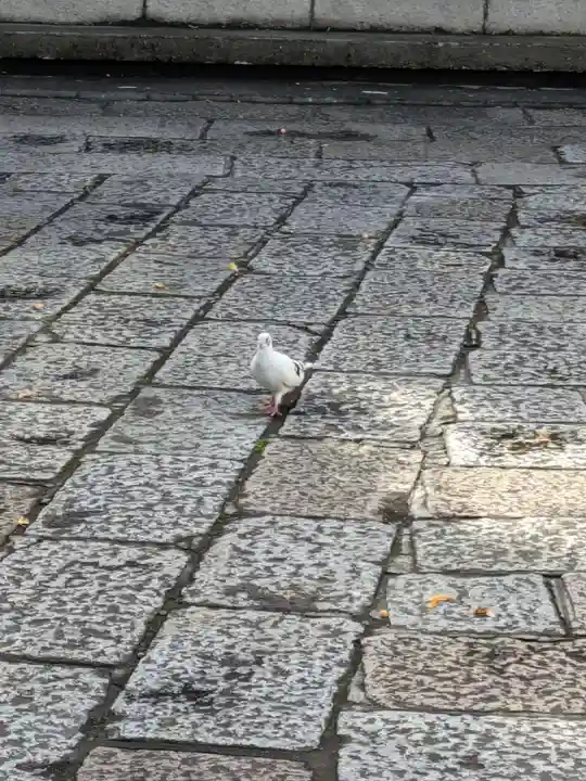 本覚寺(東京都)