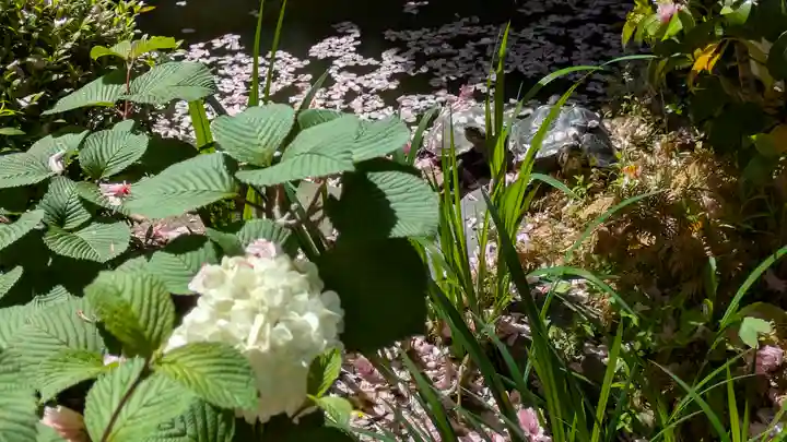 宝蔵寺(京都府)