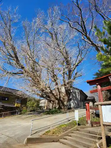 蛟蝄神社門の宮(茨城県)